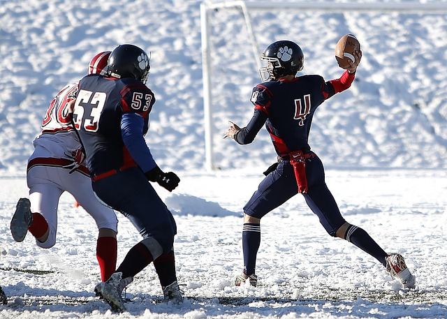 未得到官方 未得到官方